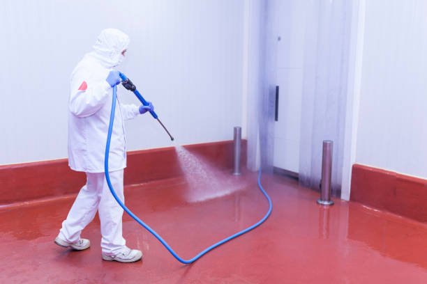 Boat and Dock Cleaning in Desoto, TX