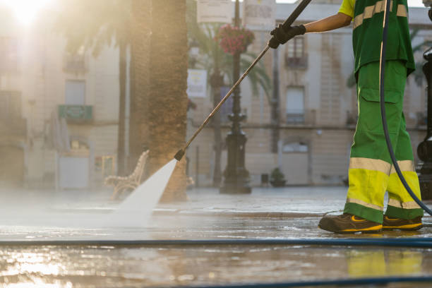 Best Roof Washing  in Desoto, TX